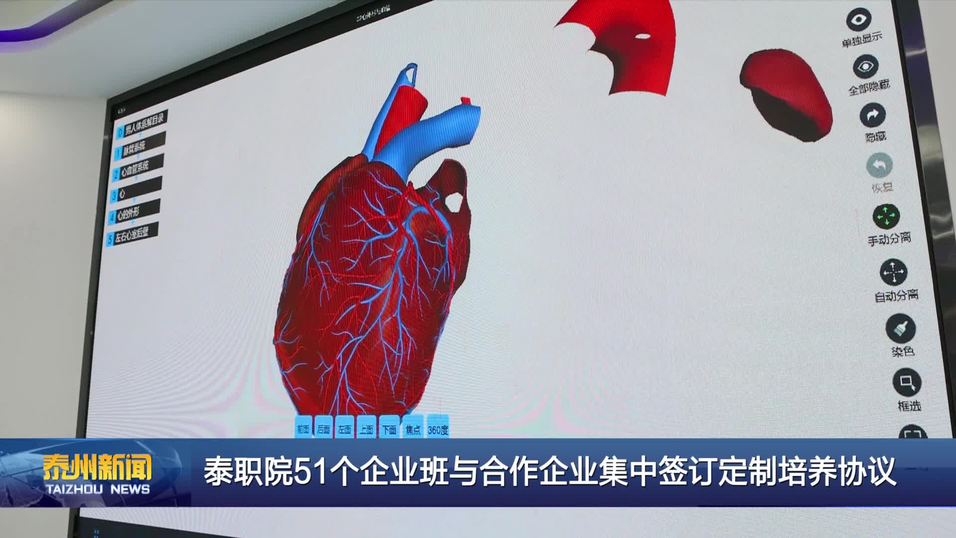 泰职院51个企业班与合作企业集中签订定制培养协议